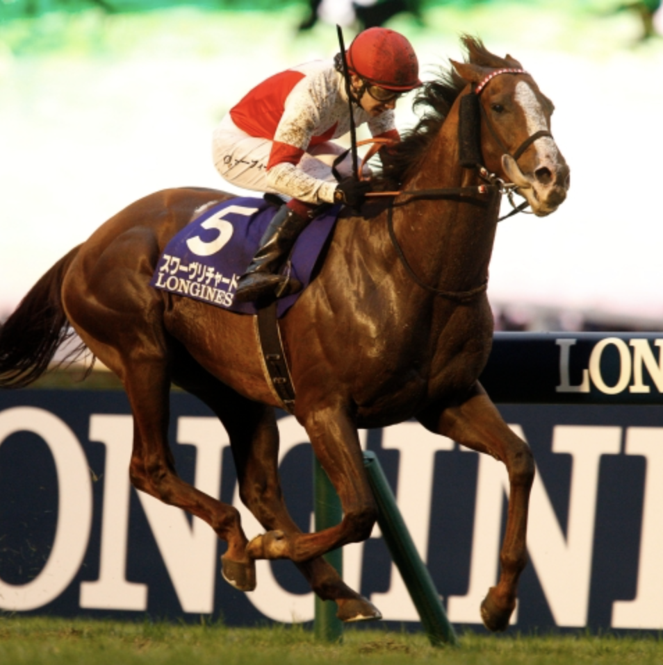 2020年 ジャパンカップ 単勝馬券全頭 三冠馬3頭対決